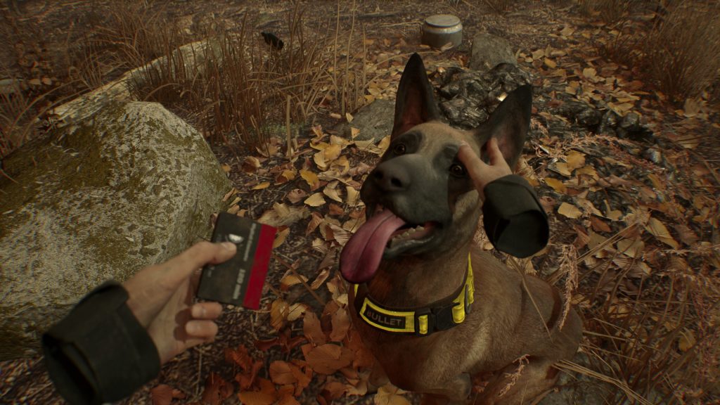 Blair Witch Oculus Rift Edition - Bullet