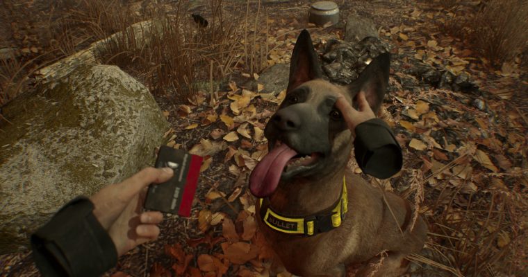 Blair Witch Oculus Rift Edition - Bullet