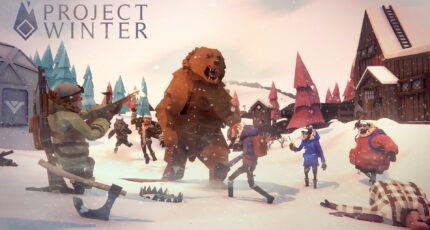 Project Winter