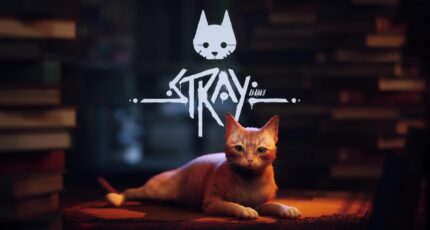 STRAY - o jogo do gato