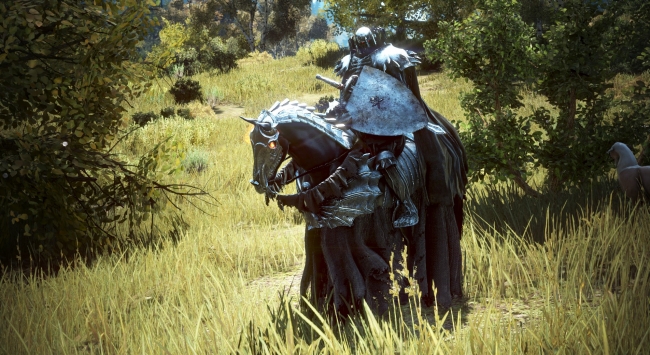 NPC Exclusivo da colaboração Black Desert x Berserk ”Cavaleiro Crânio”