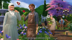 The Sims 4 Kit Melhor Idade