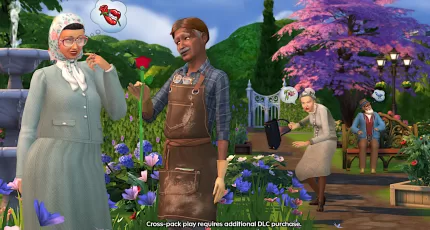 The Sims 4 Kit Melhor Idade