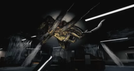 Huntsman - Tarantula